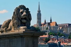 Lion on Chain Bridge & Matthias Church