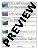 ireland_preview5
