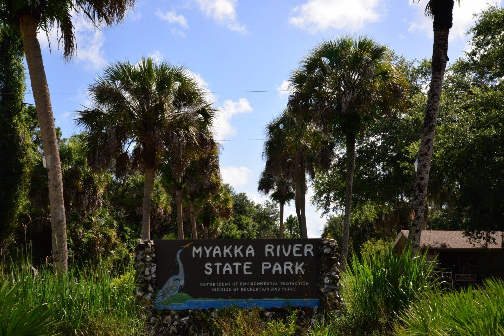 myakka river state park