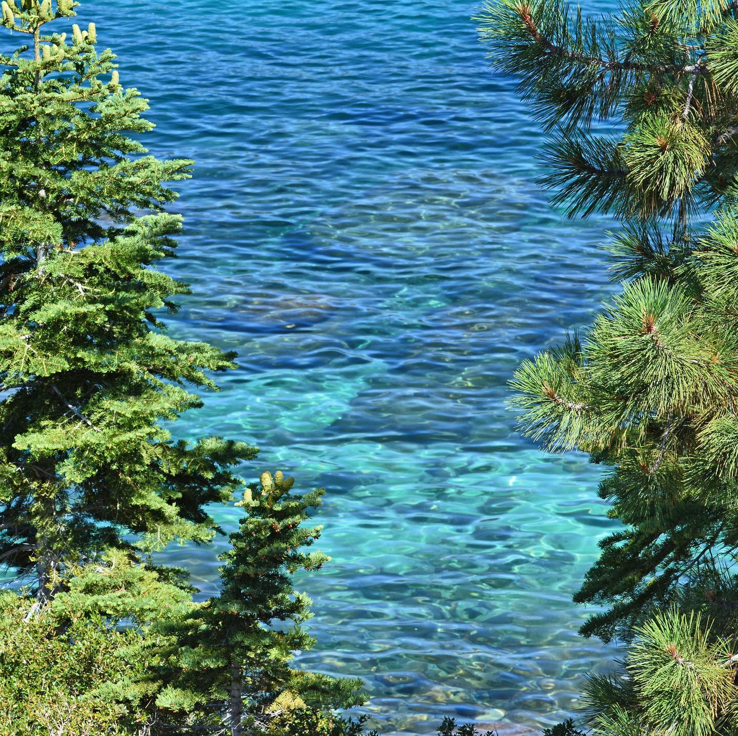 Lake Tahoe is simply breathtaking. The color and clarity of the water is unreal. Positives vibes going out to the brave men and women fighting to protect this gem and its surrounding area and well wishes to those who call Tahoe home. Our thoughts and hearts are with you.

#california #californiatravel #californiaroadtrip #visitcalifornia #roadtrip #travelphotography #tahoe #laketahoe #scenicdrive #coastalcalifornia #californiacoast #californiadreaming #cafires #californiafires #caldorfire