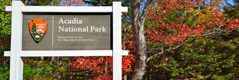 Things to Do in Acadia National Park