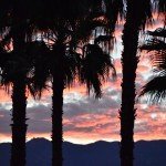 Palm Springs with Kids – Things to Do in the California Desert