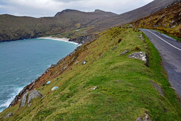 Renting a Car in Ireland What You Need to Know About Car Hire in Ireland