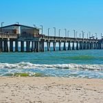 Things to Do in Gulf Shores, Alabama – Exploring Nature Edition