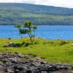 3 Reasons to Visit Isle of Mull in Scotland