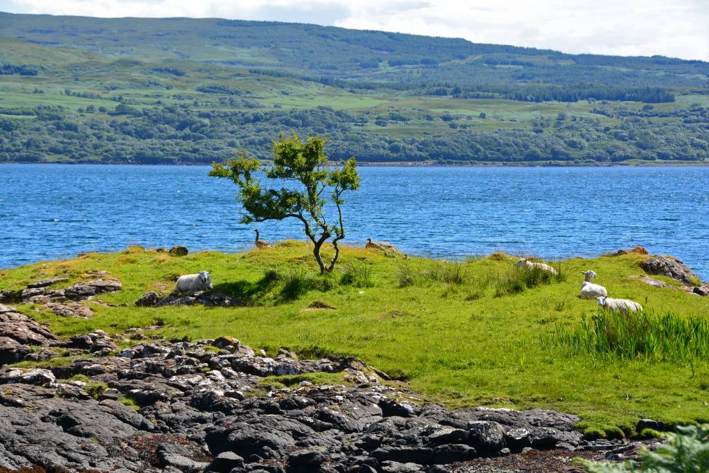 Visit Isle of Mull