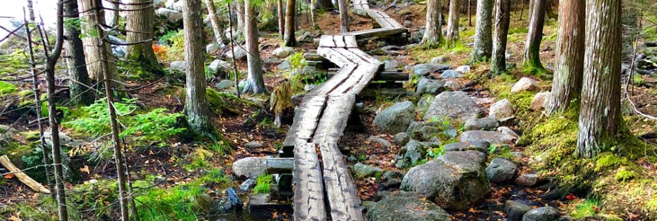 Acadia National Park Hiking