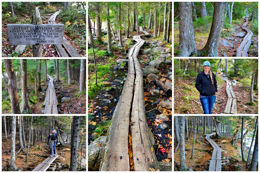 Acadia National Park Trails