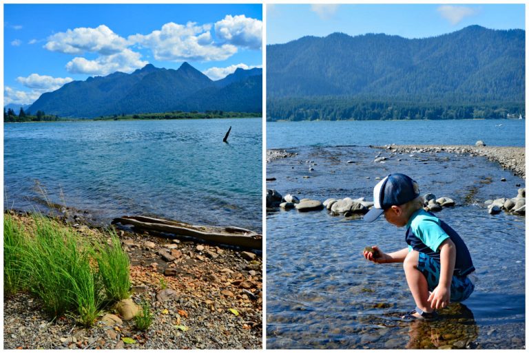 Lake Quinault and the Quinault Rain Forest Olympic Peninsula WA