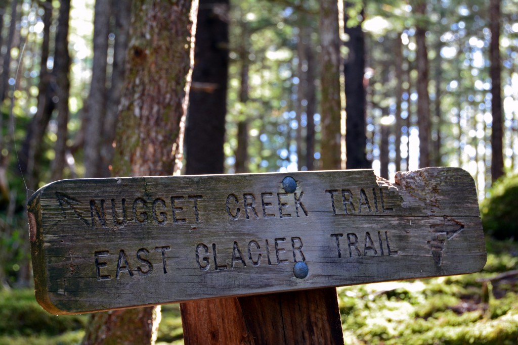 East Glacier Trail Hike