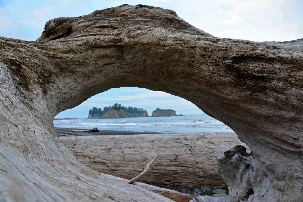 Wood Arch Rialto Beach Olympic Peninsula Washington