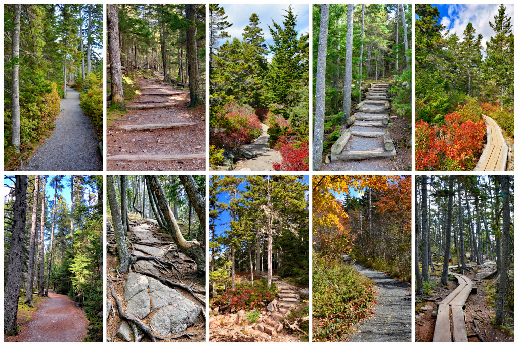 Acadia National Park Hikes