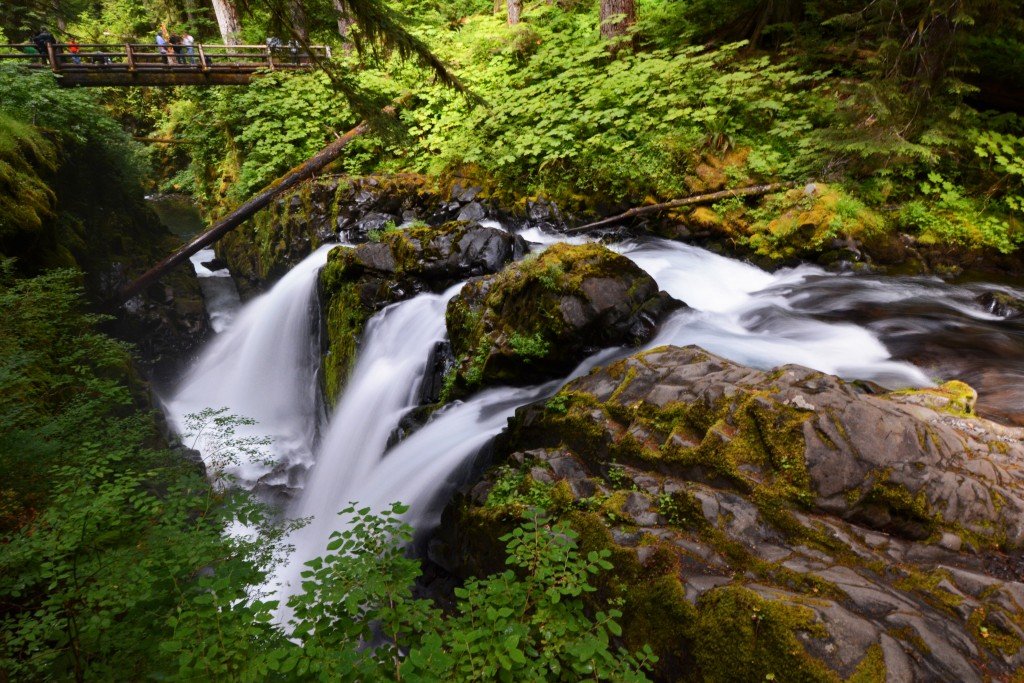 Hiking to Sol Duc Falls - Forget Someday