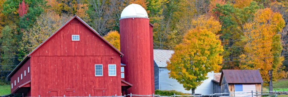 Vermont Fall Foliage